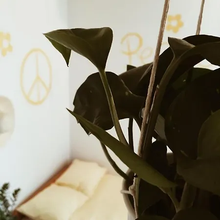 Lucka - Yellow Submarine Apartment